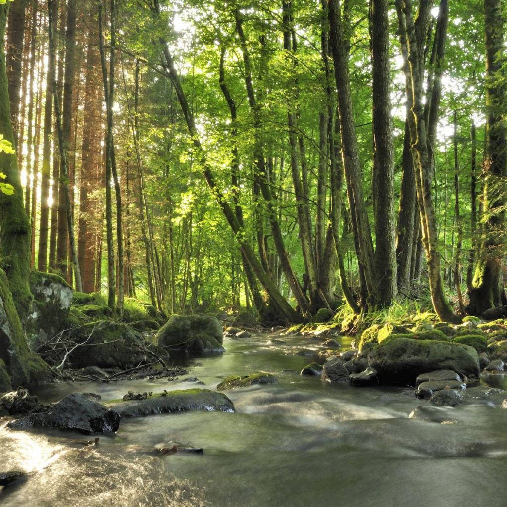 Wasserrechtliche Begleitplanung